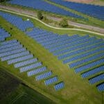 Ecosia, moteur de recherche engagé, a permis la plantation de 250 millions d’arbres à travers le monde