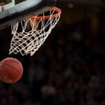 Madhya Pradesh : la « route rouge », une première en Inde pour concilier transport et protection des tigres