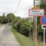 Quatre bébés singes-araignées sauvés du trafic illégal au Mexique !