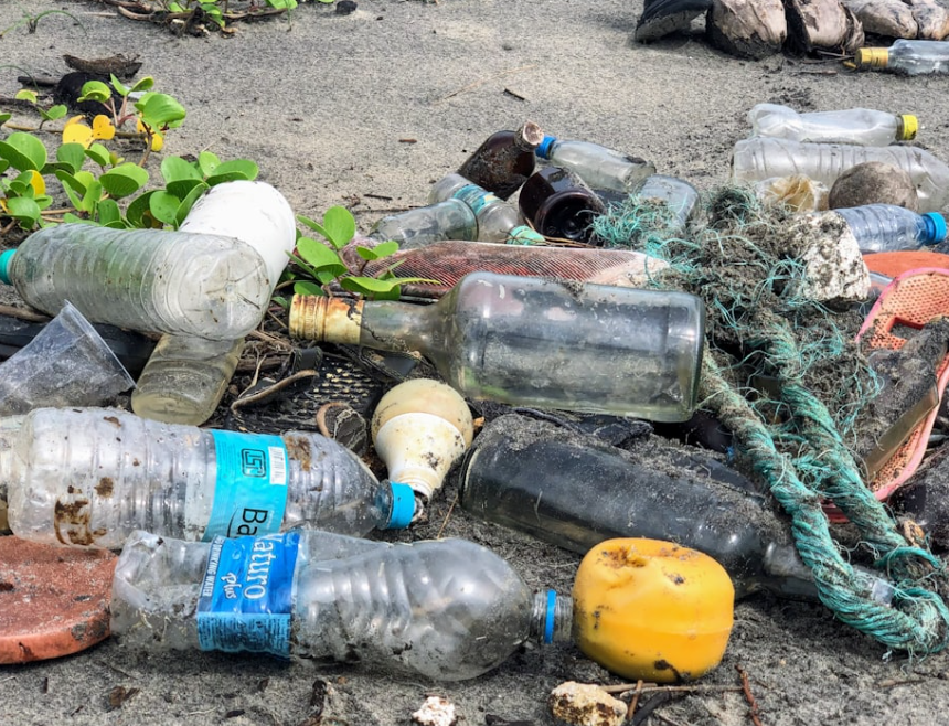 Le khulan, âne sauvage d’Asie, recolonise enfin les steppes mongoles !