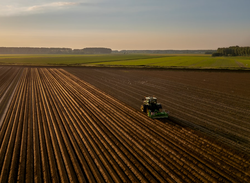 interdiction totale des importations de denrées contaminées