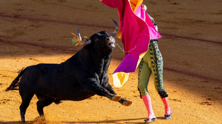 Corrida La Brède suspendue par le tribunal de Bordeaux