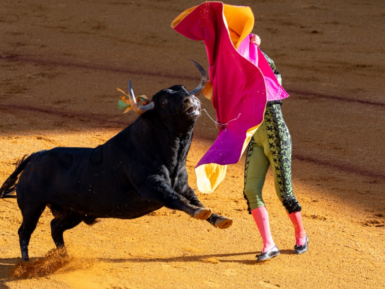 Corrida La Brède suspendue par le tribunal de Bordeaux
