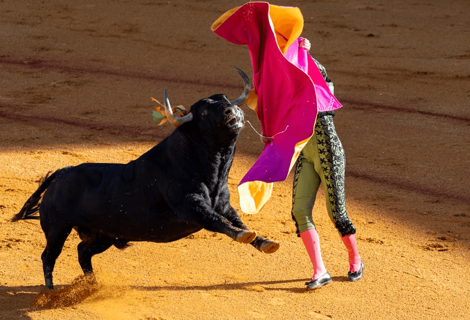 Corrida La Brède suspendue par le tribunal de Bordeaux