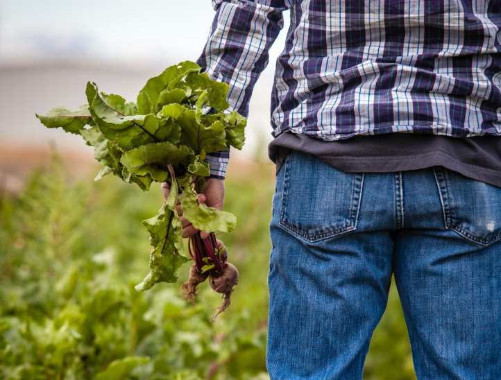 200 citoyens achètent des terres pour des agriculteurs bio