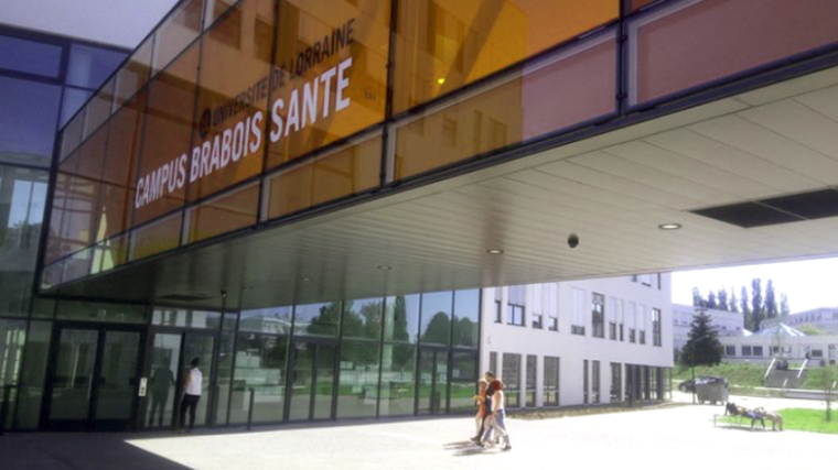 L’Université de Lorraine étend la distribution gratuite de culottes menstruelles
