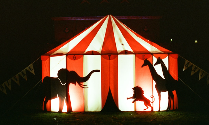 La Hongrie interdira bientôt les spectacles d’animaux sauvages dans les cirques