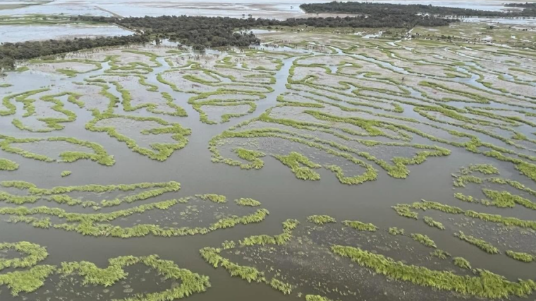 Conservation des zones humides en Australie