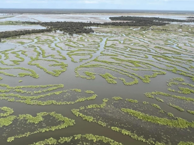 Conservation des zones humides en Australie