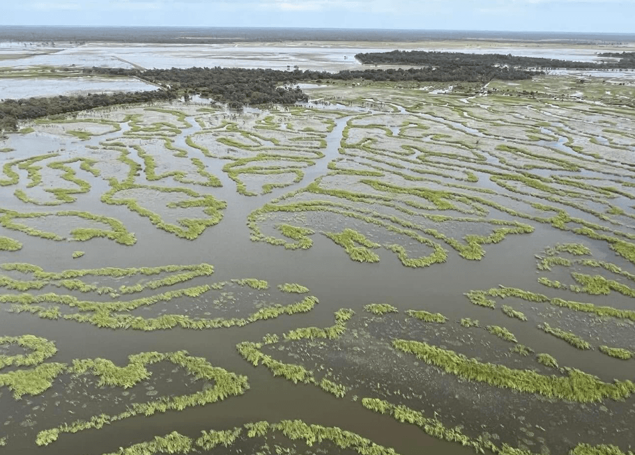 Conservation des zones humides en Australie