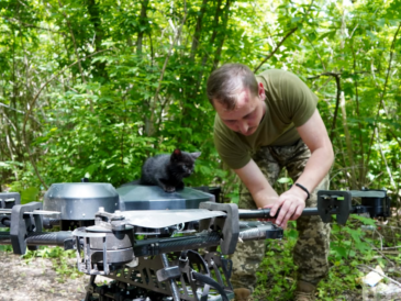 Des soldats ukrainiens ont utilisé un drone pour sauver une chatte et ses cinq chatons