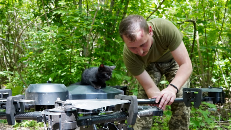Des soldats ukrainiens ont utilisé un drone pour sauver une chatte et ses cinq chatons