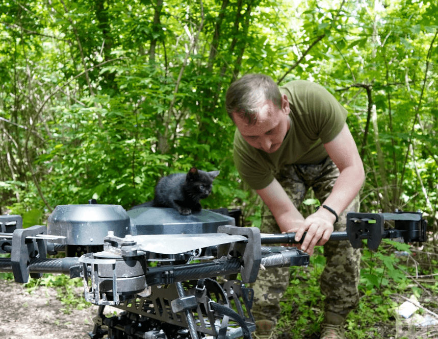 Des soldats ukrainiens ont utilisé un drone pour sauver une chatte et ses cinq chatons