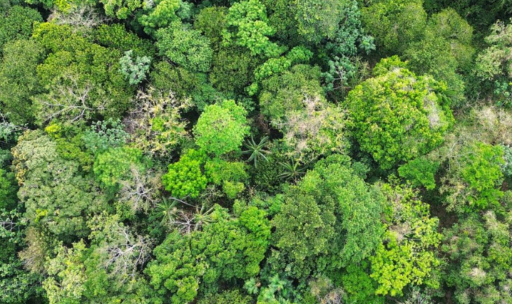 Neuf réserves biologiques forestières sont créées ou étendues en France