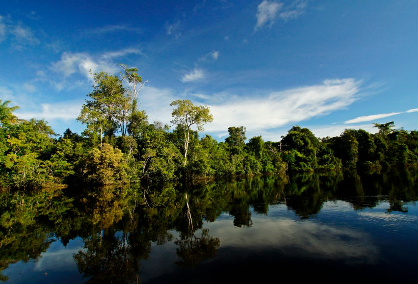 La justice brésilienne ordonne l’expulsion d’occupants illégaux en Amazonie