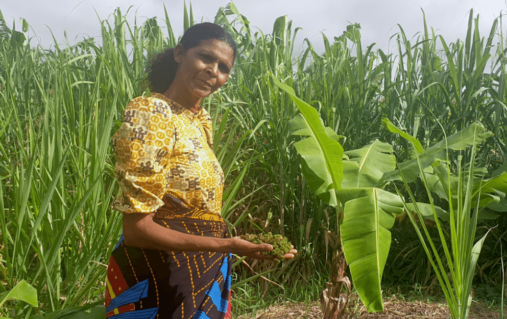 Diana Sitima a créé une ferme agroécologique rentable qui génère des emplois