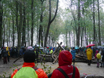La forêt de Hambach devient officiellement une réserve naturelle en Allemagne