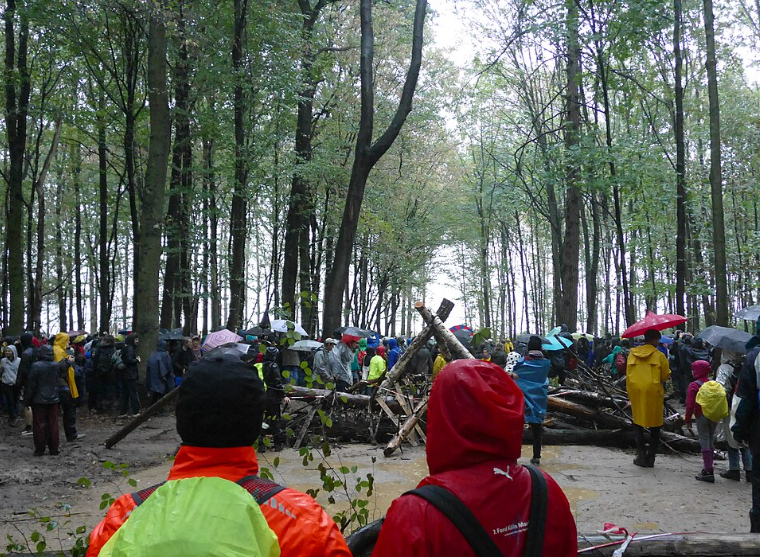 La forêt de Hambach devient officiellement une réserve naturelle en Allemagne