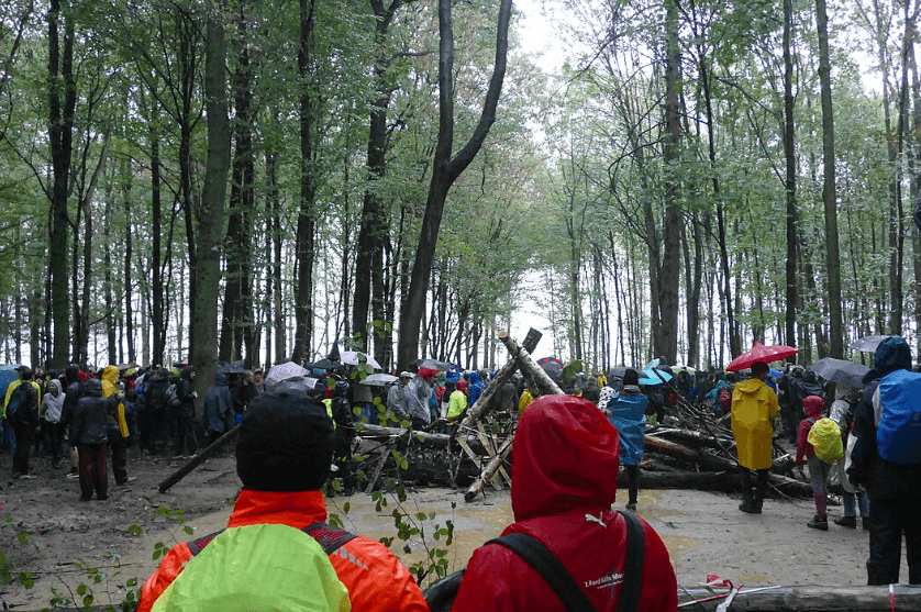 La forêt de Hambach devient officiellement une réserve naturelle en Allemagne