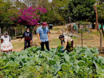 Des biopesticides naturels inspirés des traditions mayas
