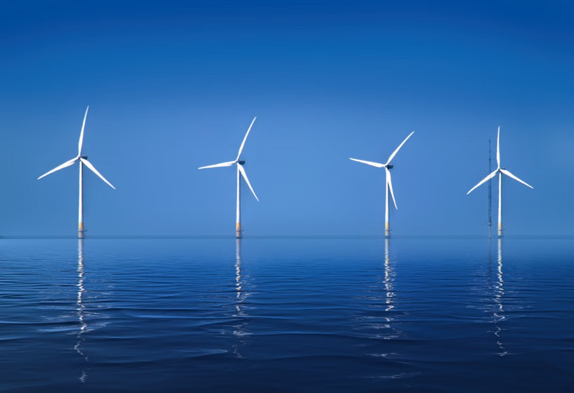 Un parc éolien de 100 turbines en mer du Nord a permis la création d’un habitat favorable aux morues