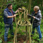 Un couple britannique cultive des chaises directement sur des arbres