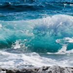 Aires marines protégées et pêche durable