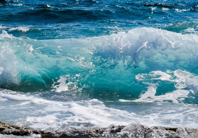 Aires marines protégées et pêche durable