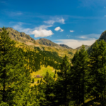 Plus de 100 000 km² de forêts couvrent aujourd’hui l’Italie.