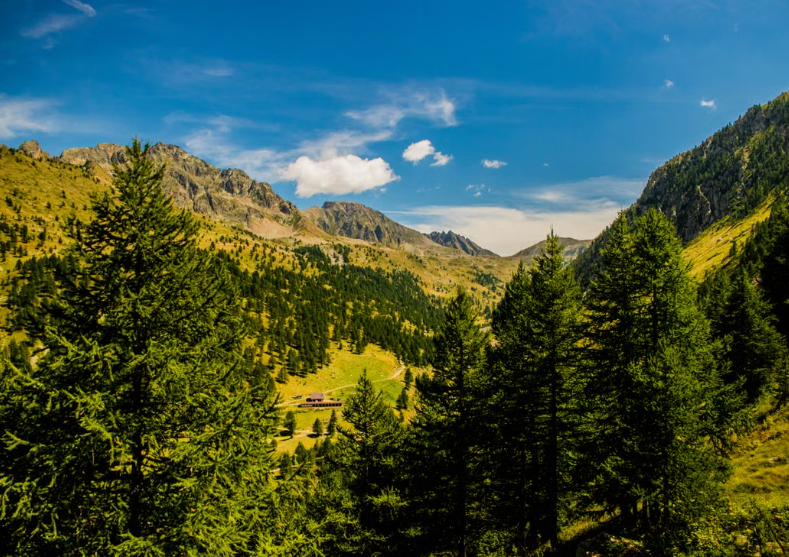 Plus de 100 000 km² de forêts couvrent aujourd’hui l’Italie.