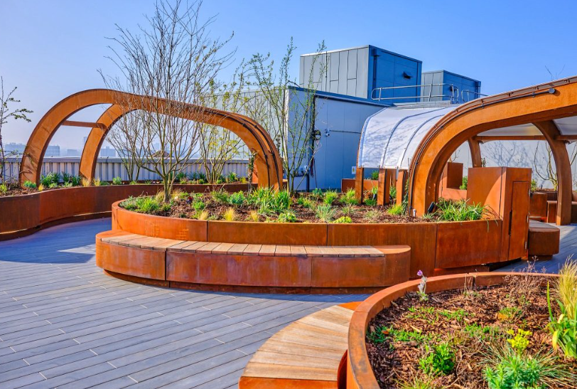 Le King's College Hospital inaugure le premier jardin extérieur de soins intensifs du Royaume-Uni