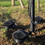 Bactery développe des mini-centrales enterrées produisant de l’électricité grâce aux bactéries du sol.