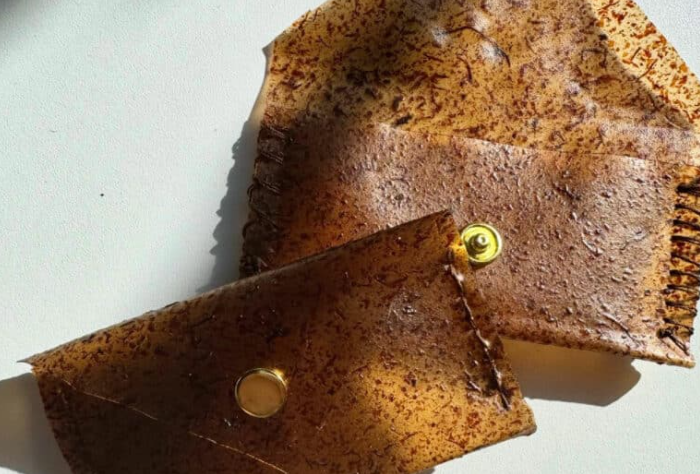 cuir végétal à partir de sargasses