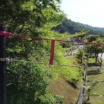 passerelles fabriquées avec des tuyaux recyclés permettent aux langurs menacés de traverser les routes en sécurité