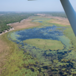 le lac Tchad abrite près de 2,5 millions d’oiseaux d’eau