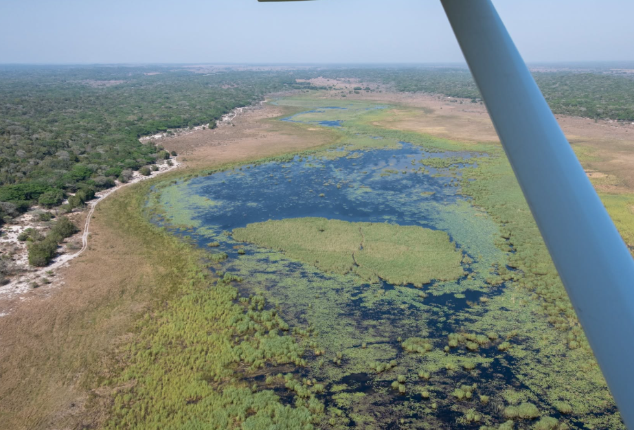 le lac Tchad abrite près de 2,5 millions d’oiseaux d’eau