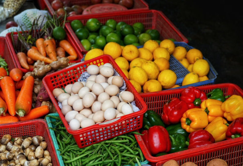 Helsinki adopte un plan visant à réduire de 50 % la consommation de viande et de produits laitiers dans ses établissements publics d’ici 2030