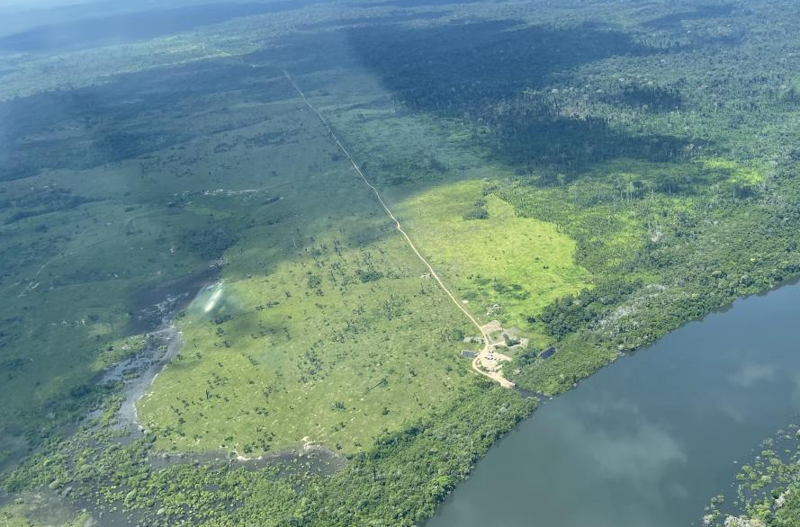 Une route illégale de 42,8 km a disparu sous la forêt amazonienne