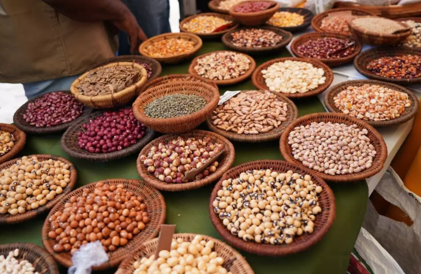 les agriculteurs zimbabwéens relancent des variétés locales adaptées