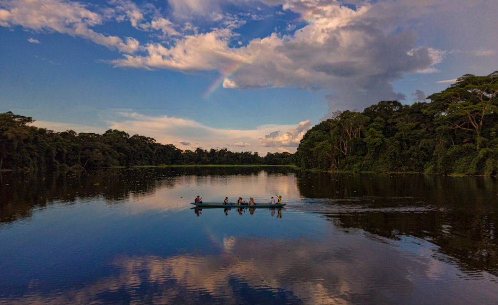 L’Amazonie brésilienne atteint son plus faible niveau de déforestation en dix ans au premier semestre 2026