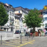 Des érables en bacs réduisent fortement la chaleur urbaine