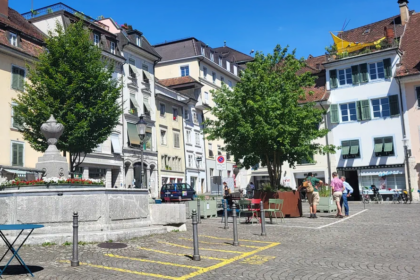 Des érables en bacs réduisent fortement la chaleur urbaine
