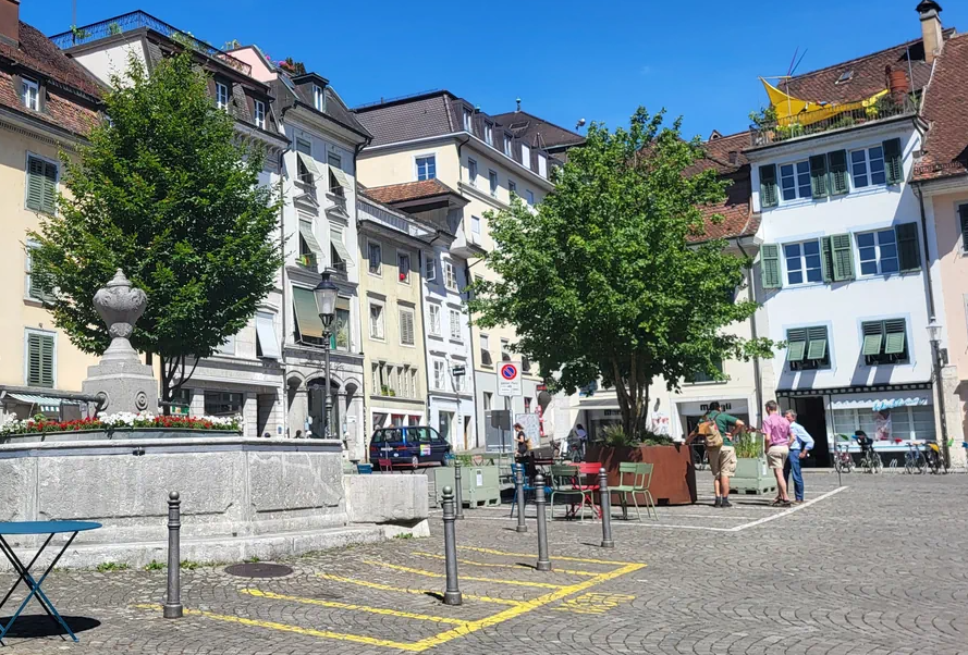Des érables en bacs réduisent fortement la chaleur urbaine
