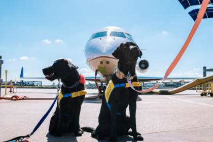 Les grands chiens peuvent désormais voyager en cabine en Italie