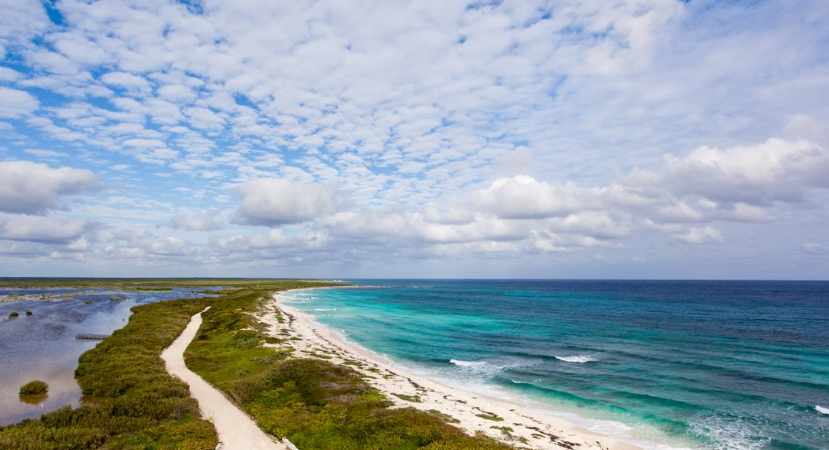 Le Mexique refuse un parc aquatique géant à Mahahual afin de protéger récifs coralliens