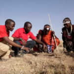 En Tanzanie et au Kenya, les guerriers masaï protègent désormais les lions.