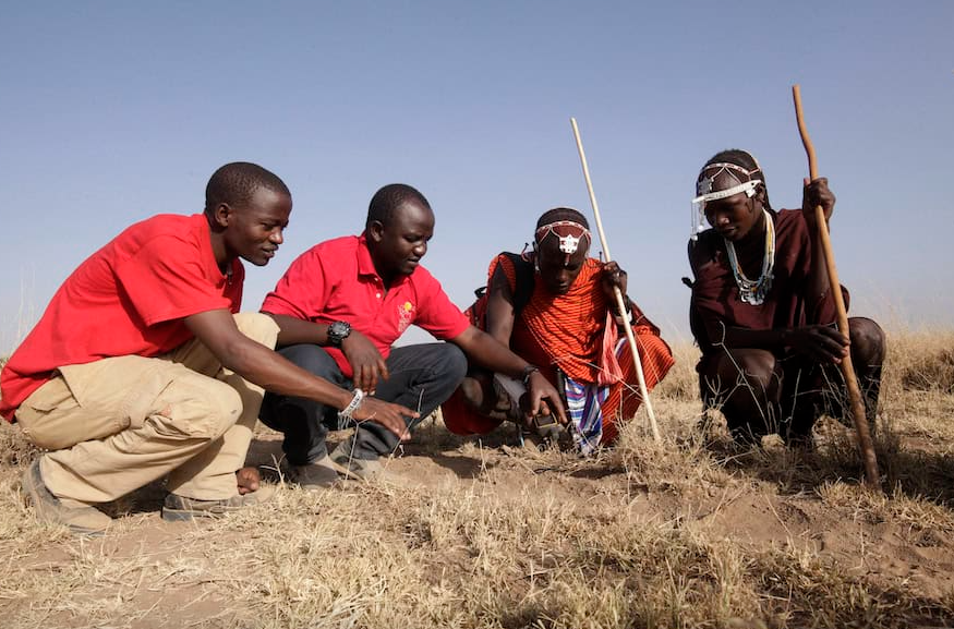 En Tanzanie et au Kenya, les guerriers masaï protègent désormais les lions.