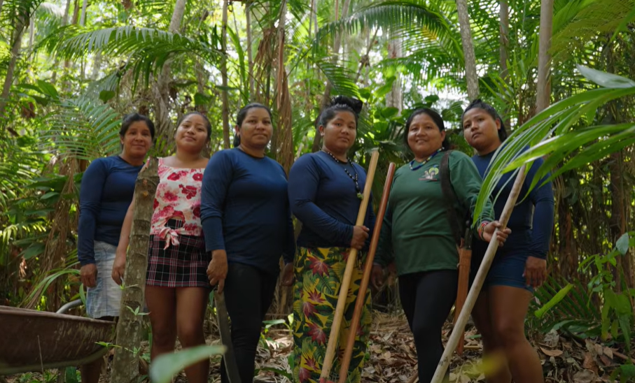 En Amazonie brésilienne, des femmes Guajajara restaurent leur forêt