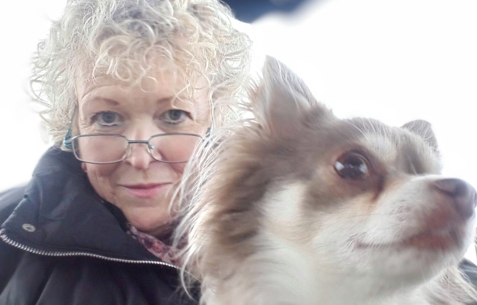Un chihuahua a aidé sa propriétaire à détecter un cancer du sein