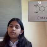 À 12 ans, une élève de Floride invente une colle écologique inspirée des moules marines